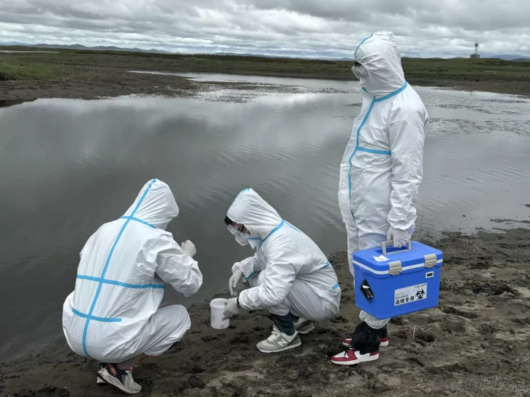 黄河首曲保护区开展野生动物疫源疫病防控监测巡查工作