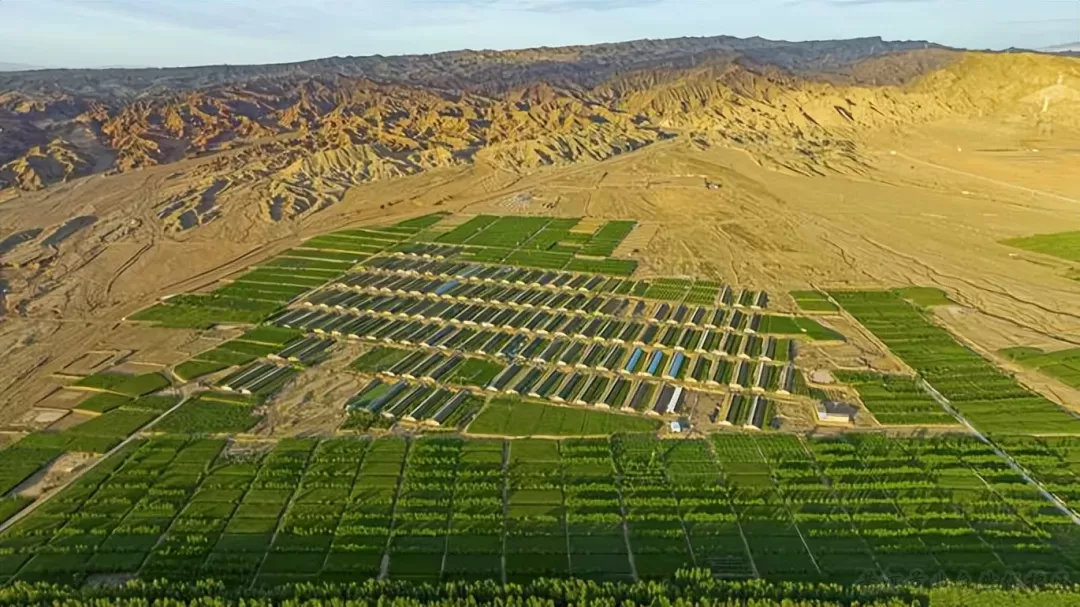 沙海攻坚 勠力苦战 &mdash;&mdash;打好&ldquo;三北&rdquo;工程攻坚战一周年综述