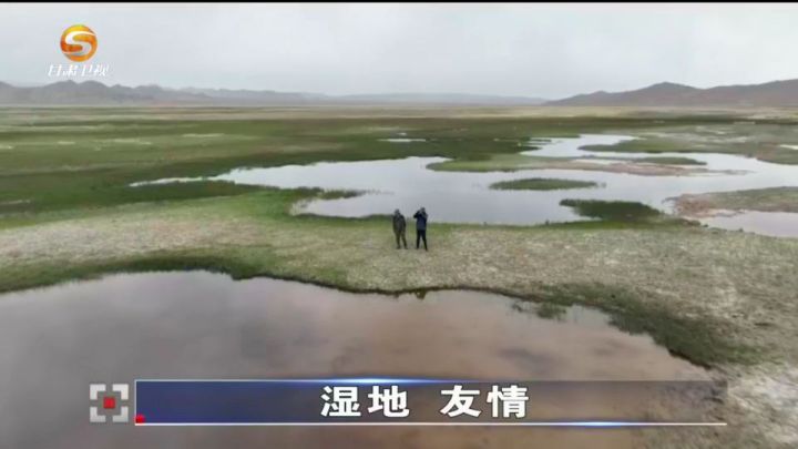 《今日聚焦》&mdash;&mdash;湿地 友情