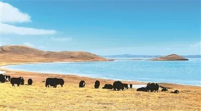 国家公园：生态文明建设的亮丽名片