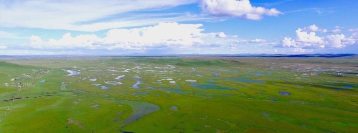 甘肃省林草湿生态质量整体提升
