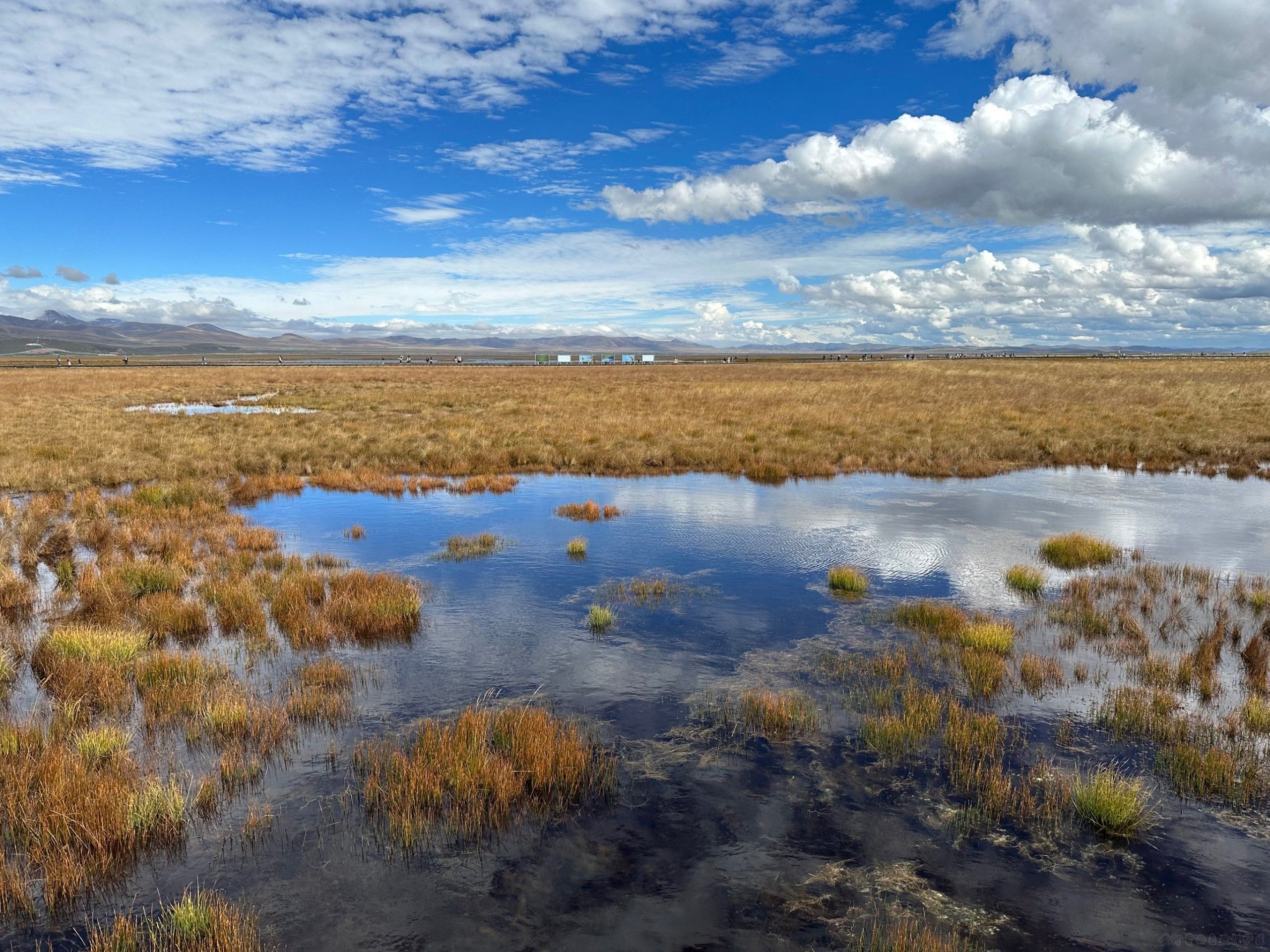 若尔盖国家公园创建历程