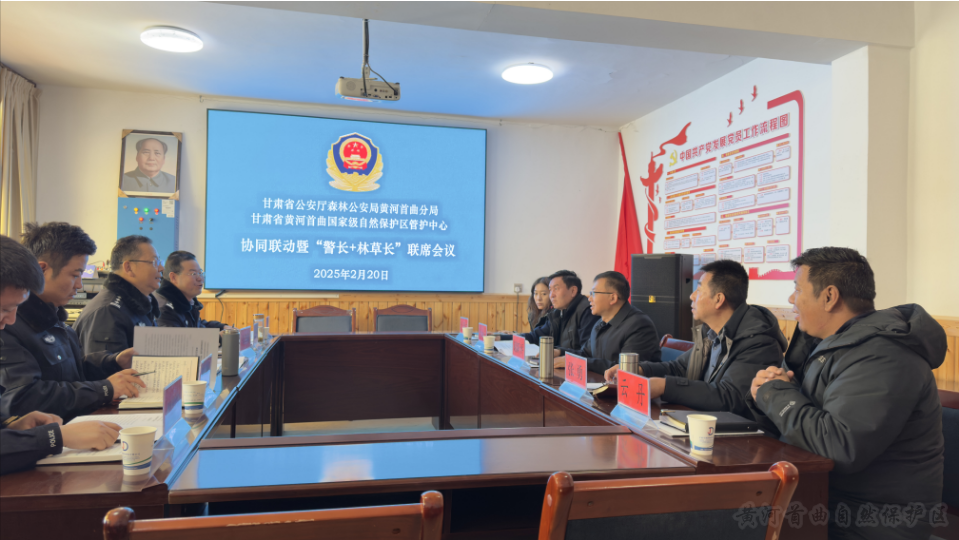 黄河首曲管护中心联合森林公安召开&ldquo;林长+警长&rdquo;联合会议