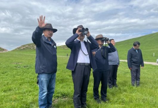 1736327502954732.png 3.png