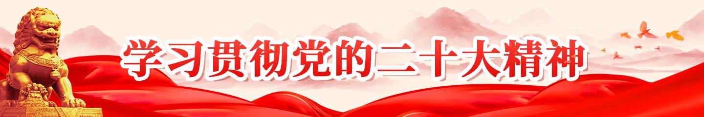 党的二十大精神