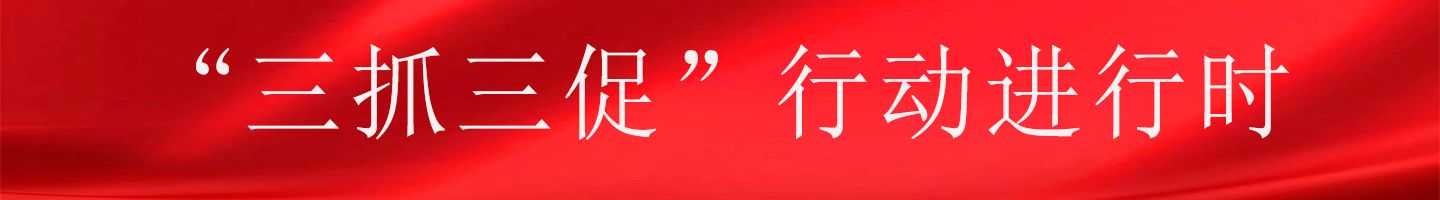 “三抓三促”行动进行时